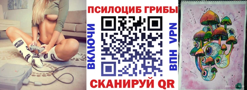 Галлюциногенные грибы Psilocybe  Козьмодемьянск 